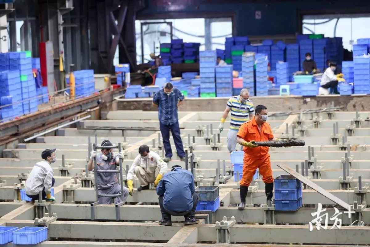 修复巴黎圣母院要请中国专家帮忙？