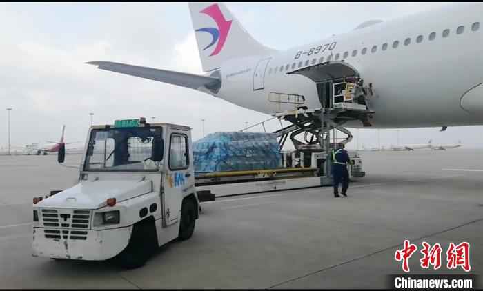  有谊无“疫”！东航紧急把上海市捐赠韩国大邱、庆北地区的50万只口罩运至首尔